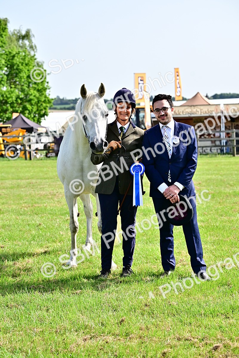 SBM_01063 - Class 46-49 - Arab and Part Bed-Anglo Arab In Hand