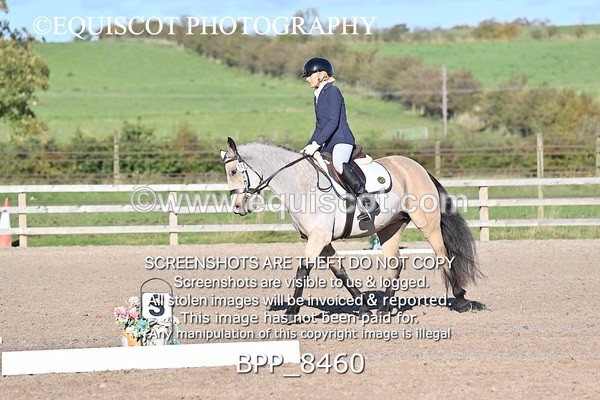 BPP_8460 - SHORT ARENA