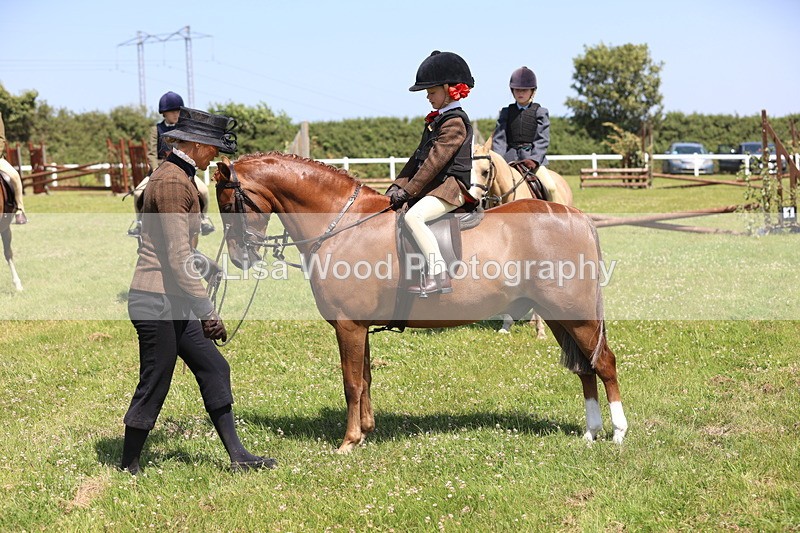 JPP_2289 - Class 20: Tiny Tots Working Hunter Pony
