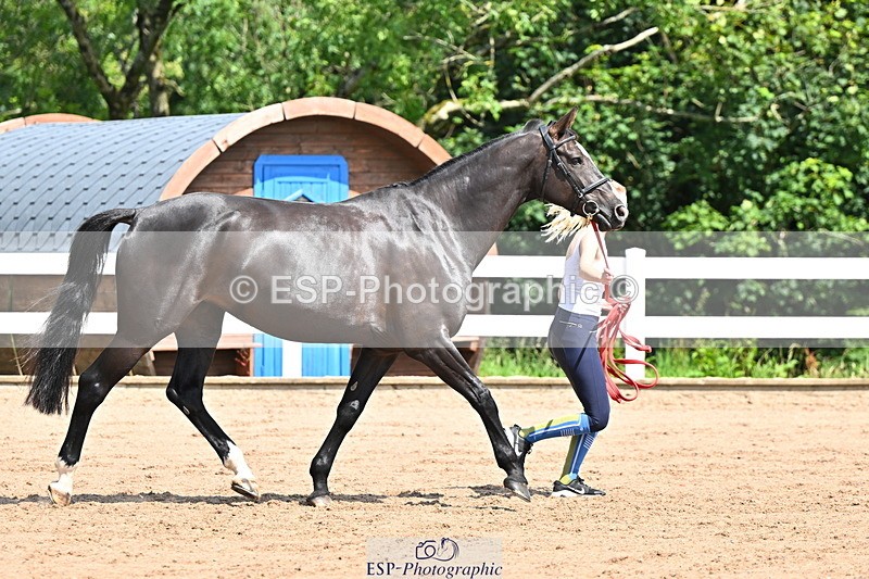 240718A-105242-01054 - Trot Up 11am to 12pm