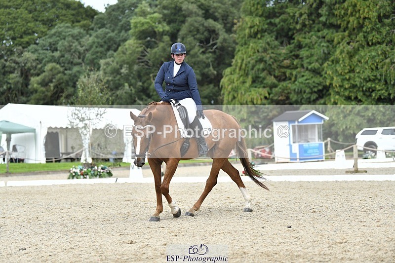 230812-154724-05215 - Cls 10 FEI Inter I Silver