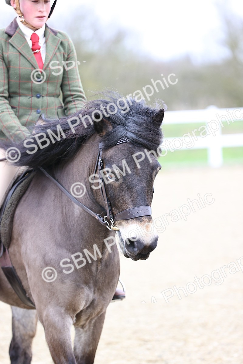 SBM_006827 - Class 29 - 30 - M&M Pure Novice Small-Large Breeds