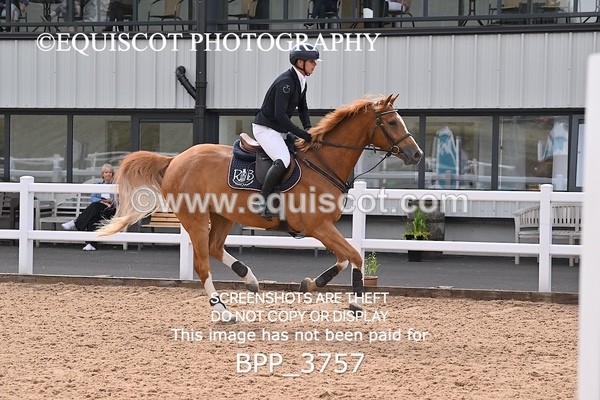 BPP_3757 - CLASS 1 WED Nupafeeds Senior Dicovery/1m open