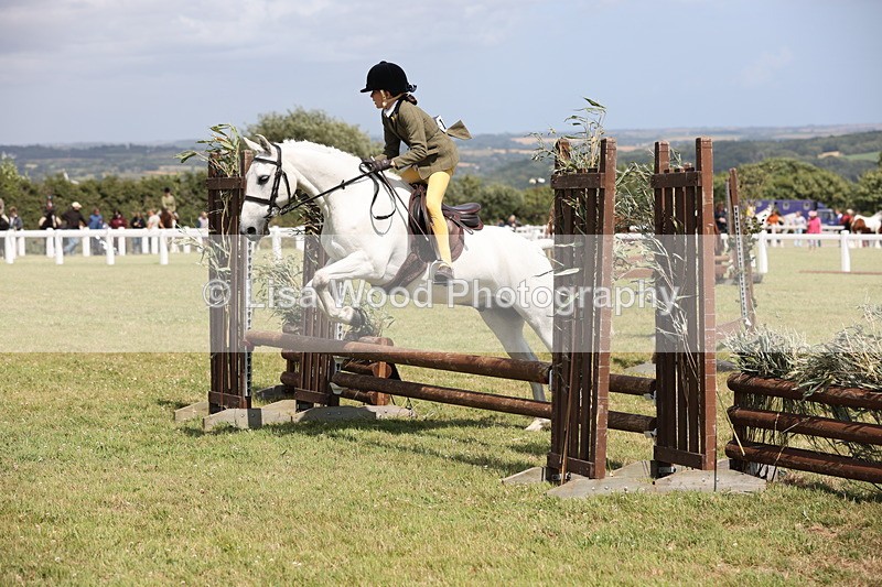 JPP_2101 - Class 19: Working Hunter 60cm