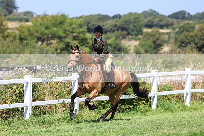 3E7A9003 - Class 6: Open Working Horse