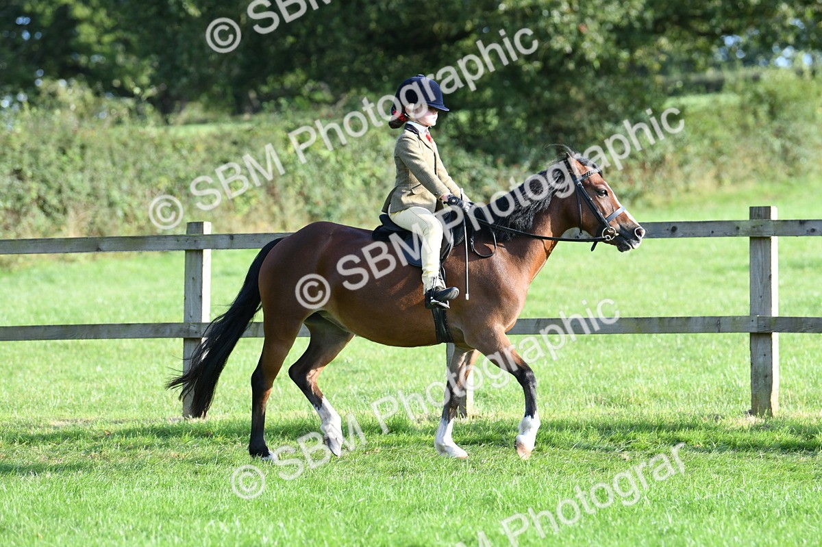 SBM_54026 - S23 - 1st Ridden Mountain & Moorland Pony