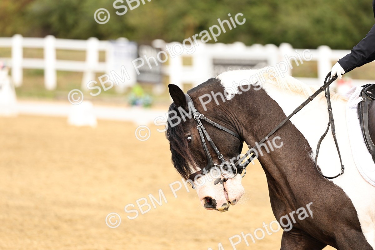 SBM_012338 - Class 2 - Prelim 5