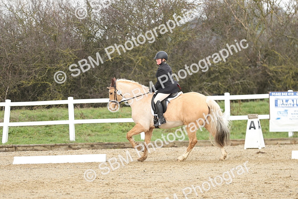 SBM_004211 - Novice 1