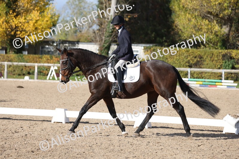 20251101-0620 - Class 5 - Novice 3