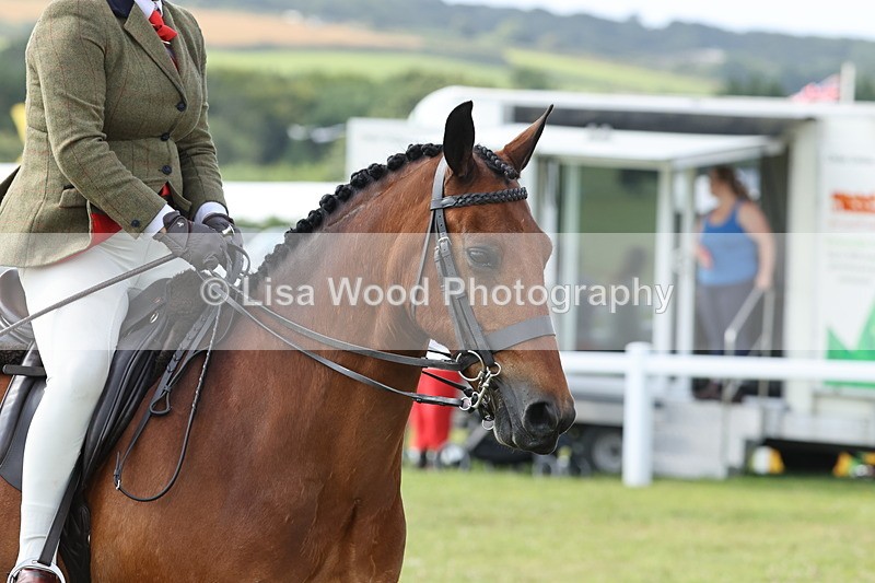JPP_0787 - Class 16: Cornish Combination Young Rider