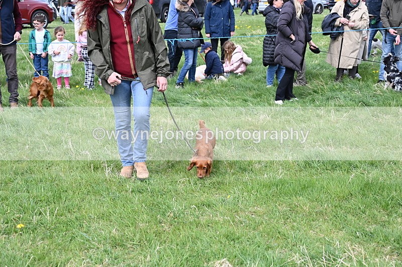 WJ6_8329 - Class 4 Prettiest Bitch