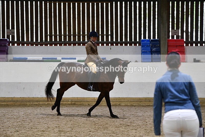 WJ5_8957 - Class 15 Ridden Show Horse