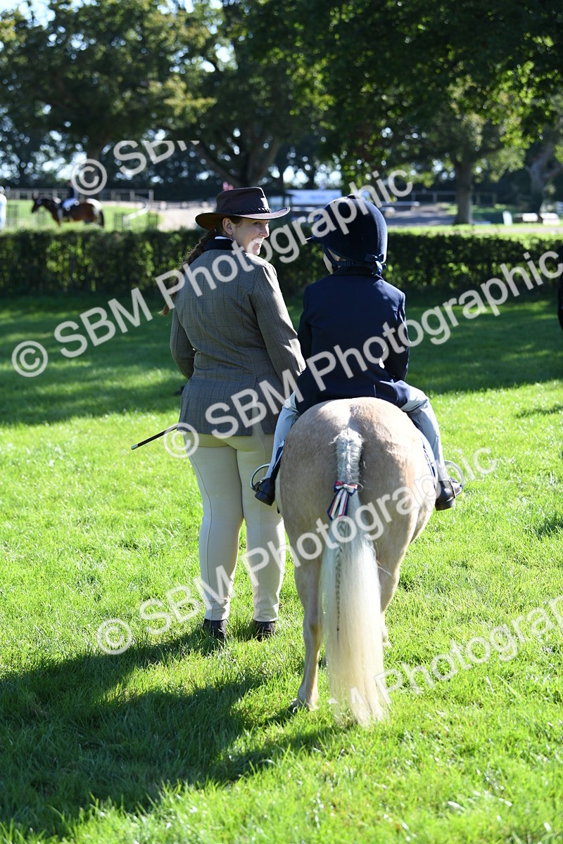 SBM_36901 - S18 - Novice & Newcomers Lead Rein Pony