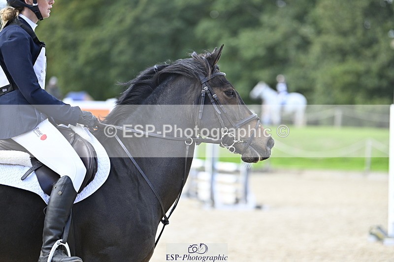 251005A-151958-04657 - Cls 10 Int 90-95cm