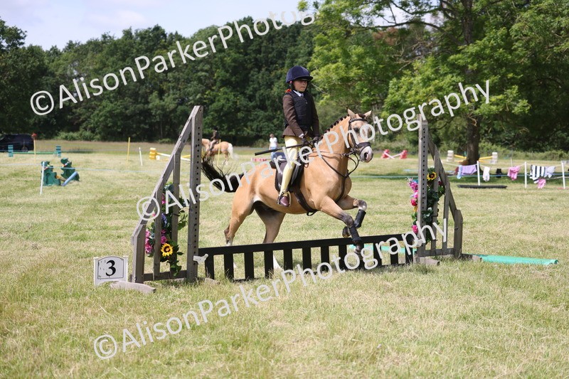 20260614-1888 - Class 21 - Novice Working Hunter Pony