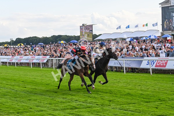 260724-Race 3-Elsies Ruan-4879 - Race 3 6.40pm Ire-Incentive, It Pays To Buy Irish EBF Restricted Novice Stakes