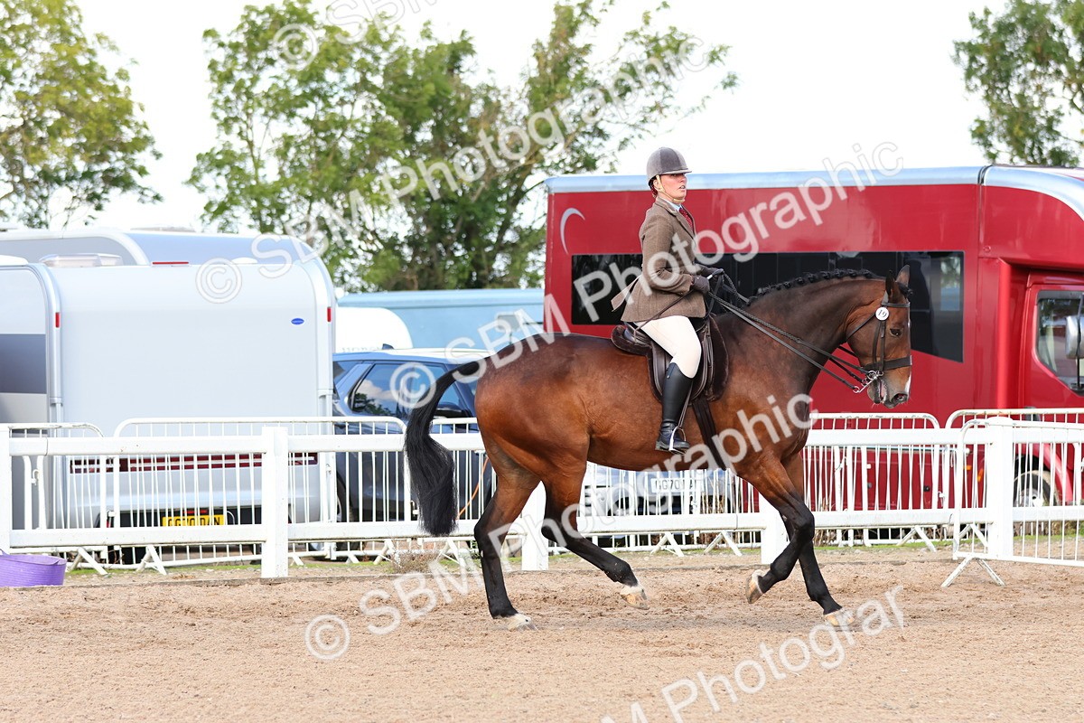 SBM_13485 - Class 212 - Ridden Hunter  - Large
