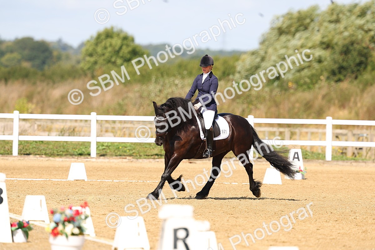 SBM_011616 - Class 1 - Prelim 19 - 10.50-11.46