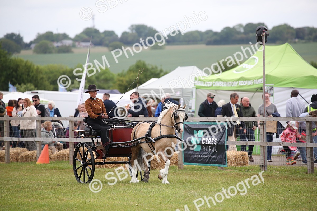 SBM_05608 - Class 12-15 - HOYS Private Driving