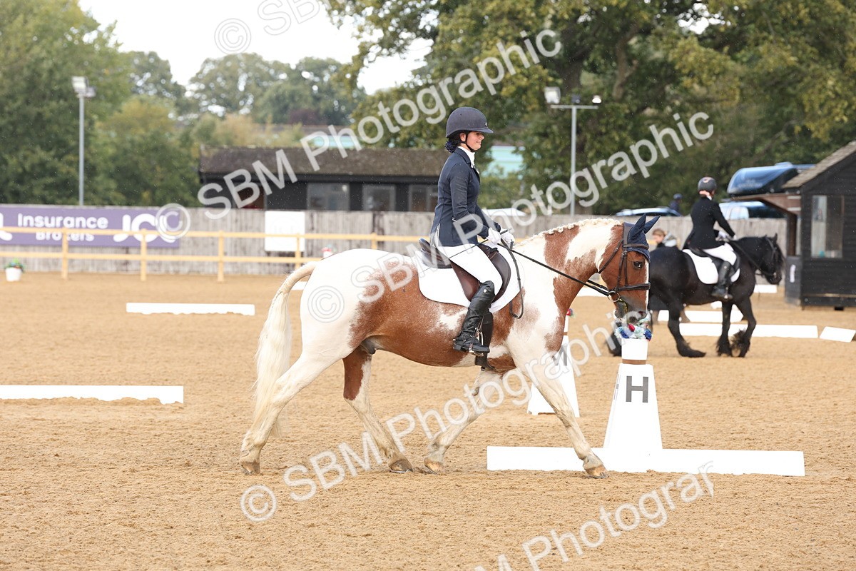SBM_47469 - D12 - Small Tour Championship prelim 2