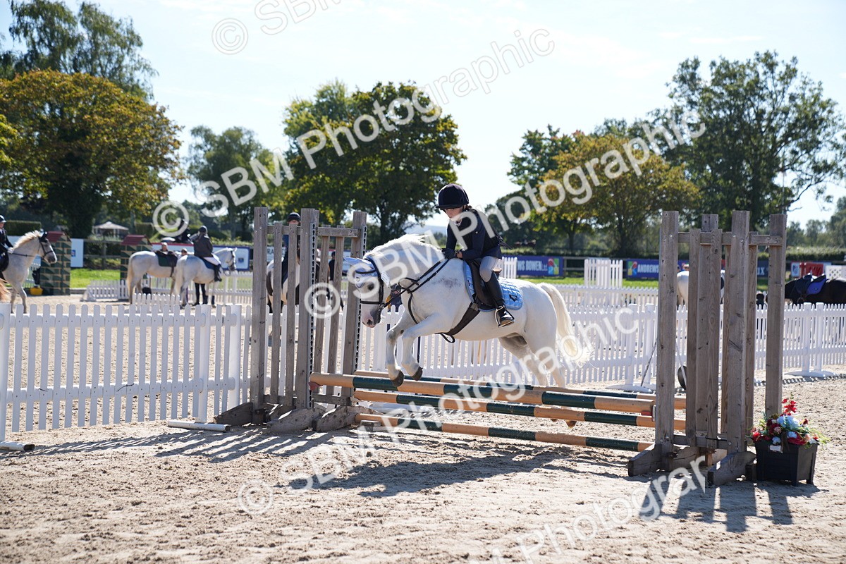 SBM_19387 - J57 - Clear Round 50cm