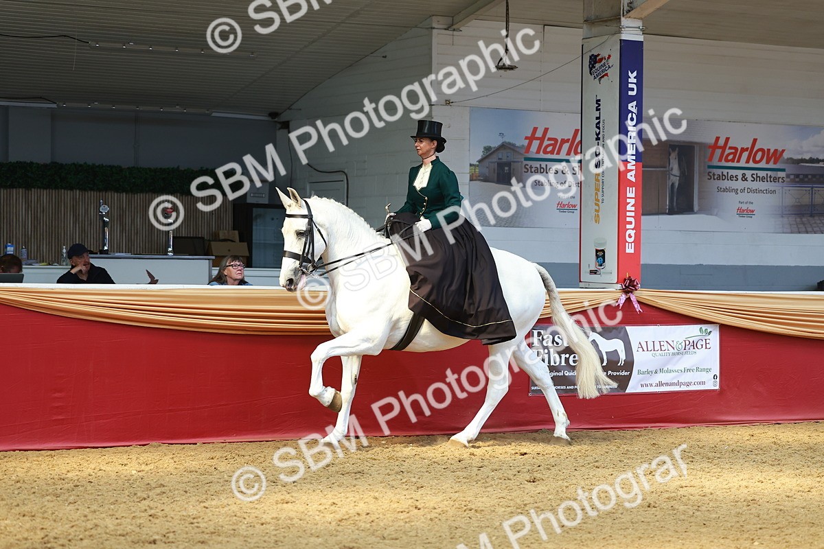 SBM_13888 - Class 106 - Ridden Costume - Side Saddle