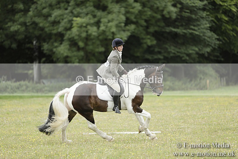 BVR160717-1179 - Class 2 Dressage 16/07/17