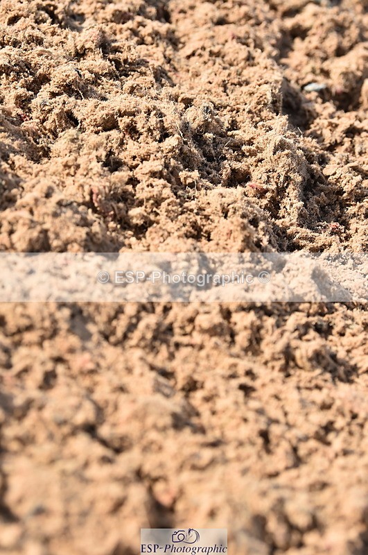 231029A-122706-03299 - Pony Foxhunter & 1.10m Open