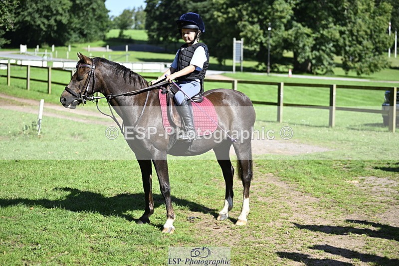 240728B-094609-00135 - Sunday Stable Shots and Fancy Dress