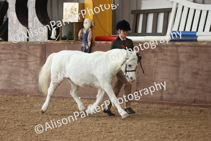 20251109-0551 - Class 21 - Mares 4 Years and over