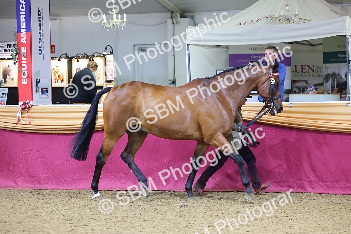 SBM_20767 - Class 902 - Supreme Final IH Veteran
