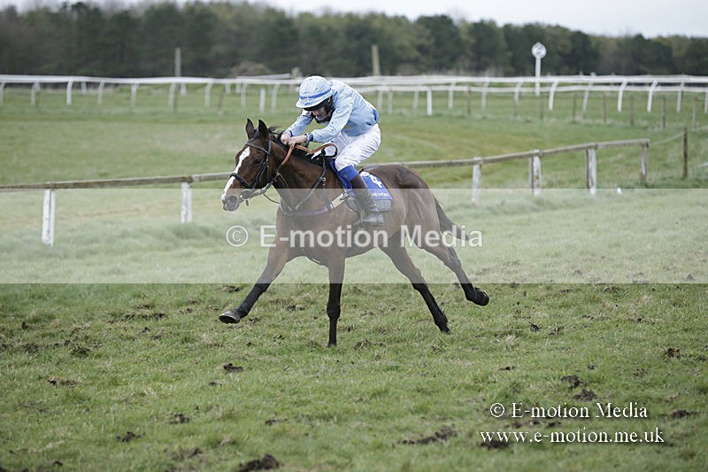 PtP 150320 0893 - New Forest Point-to-Point Larkhill 15/03/20