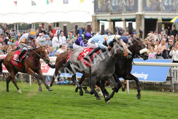 yr18082022r2-37 - Race 2 2.25pm Goffs UK Harry Beeby Premier Yearling Stakes