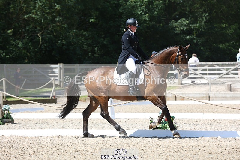 230526-114111-06093 - 154-GELUK_G-Molly_Adams-WEDTrotUp+DR