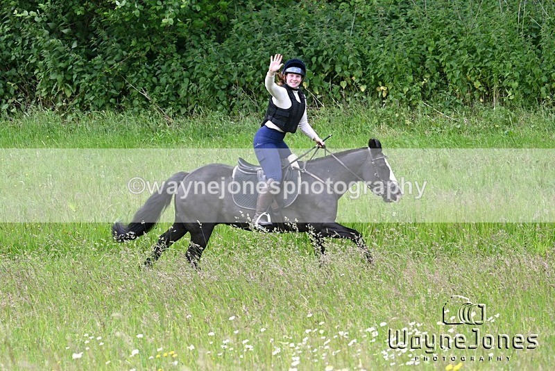 WJ7_8540 - Edited examples