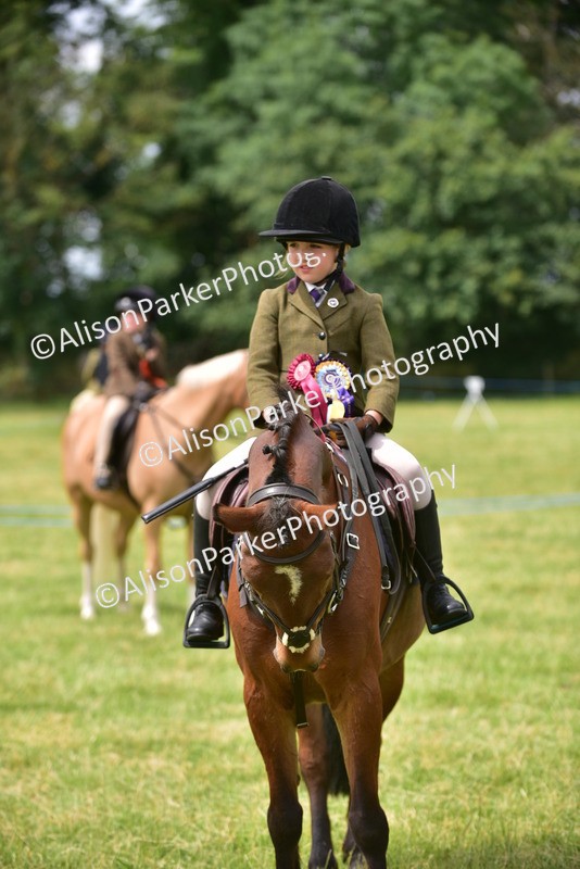 20260614-4039 - Class 16 - Handsome Gelding