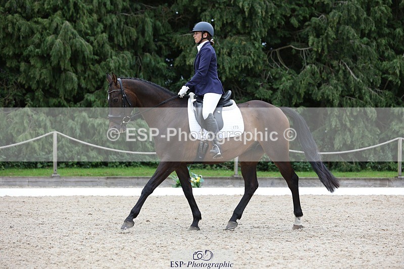 230813-150047-07929 - Cls 11 Elem Bronze 14.30 to End