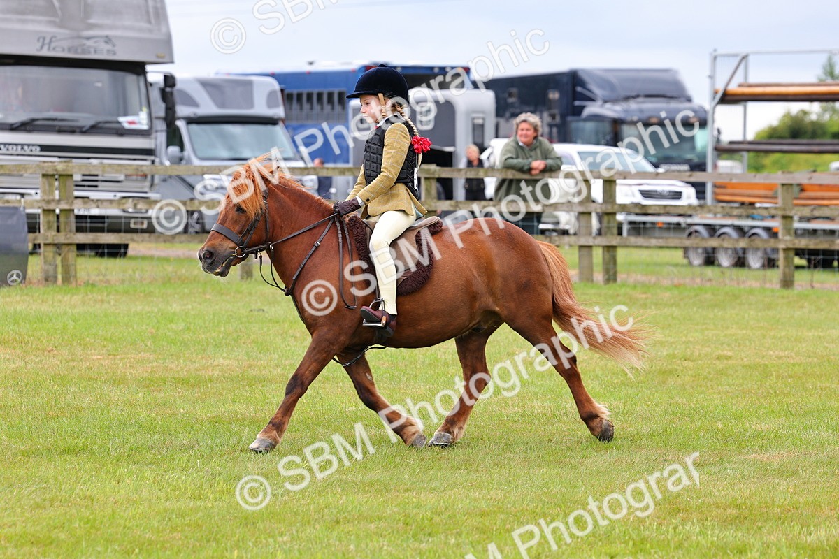 SBM_08637 - Class 42-43 - LIHS BSPS Heritage Working Sports Pony