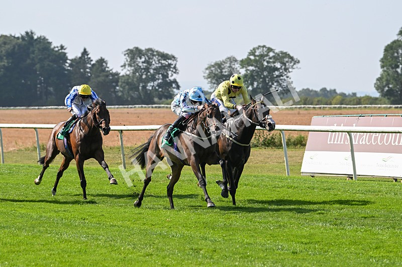 300824-Race 3-Cerulean Bay-5822 - Race 3