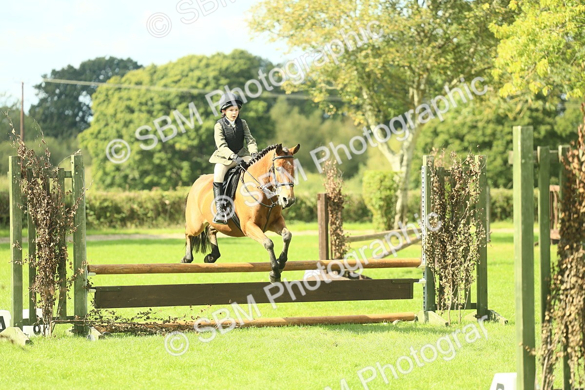 SBM_44617 - S31 - Working Hunter Pony