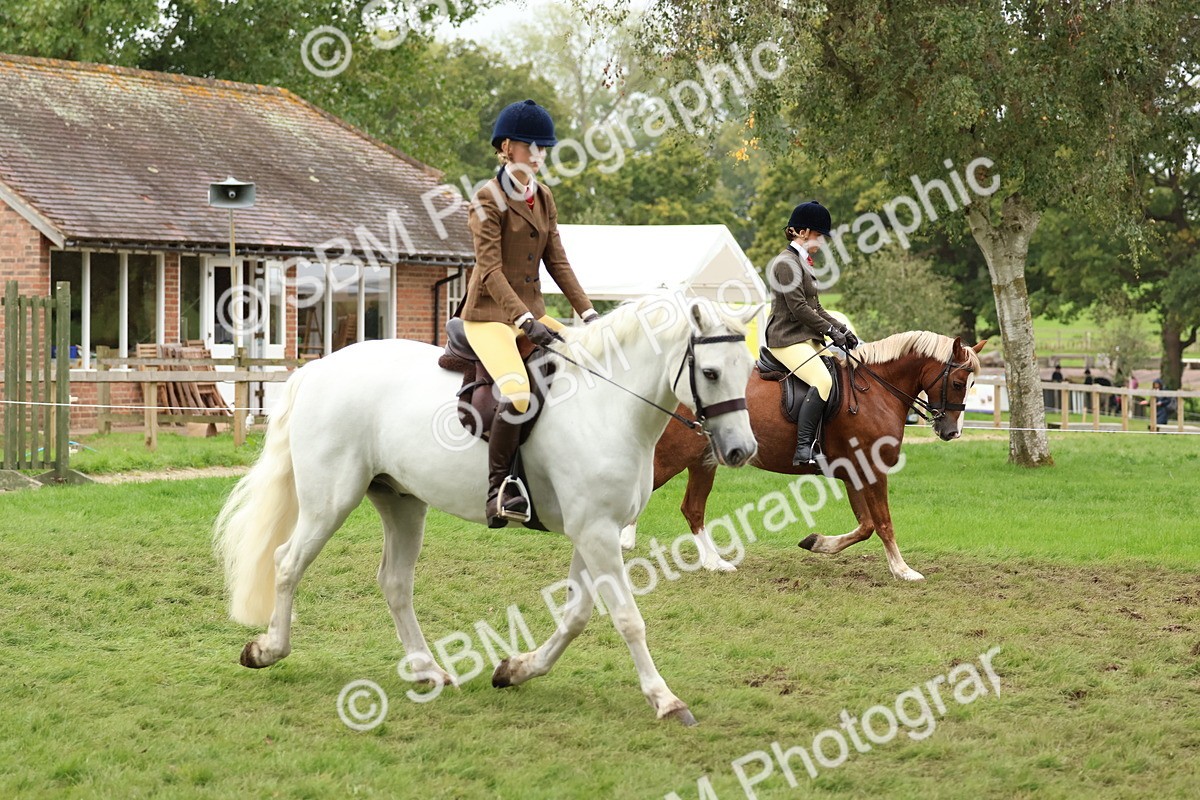 SBM_69551 - S62 - Mountain & Moorland Ridden Large Breeds