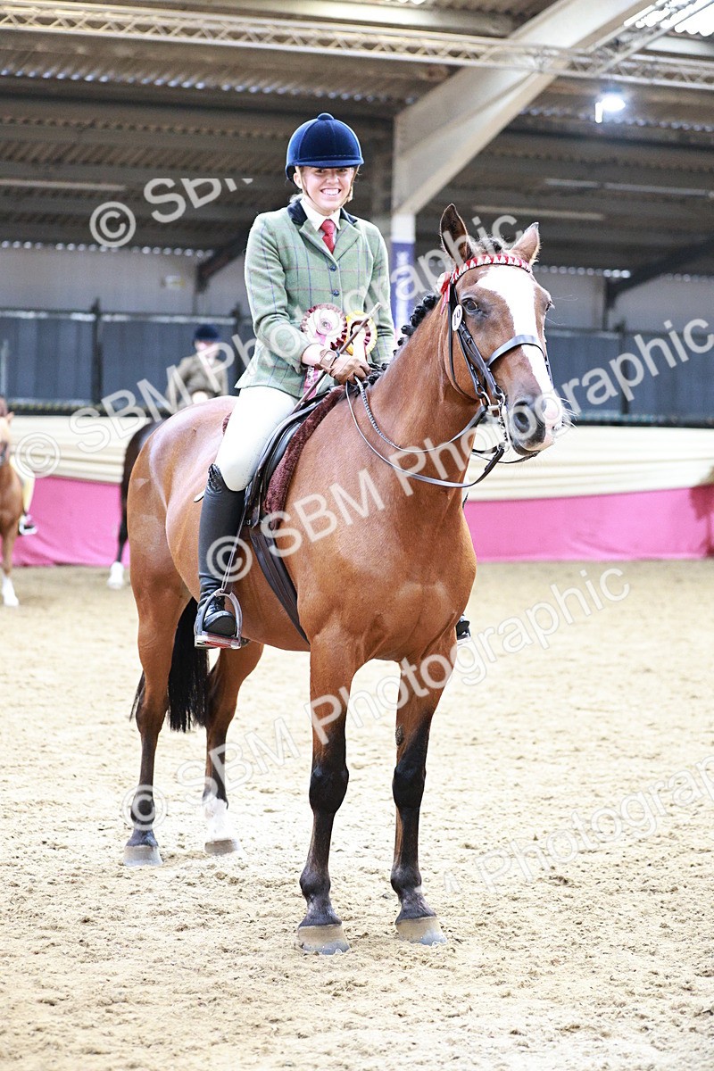 SBM_03702 - Class 6A Area Ridden Pre-Vet