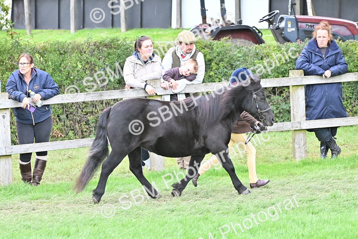 SBM_66800 - S41 - Junior Handler 8 Years & Under