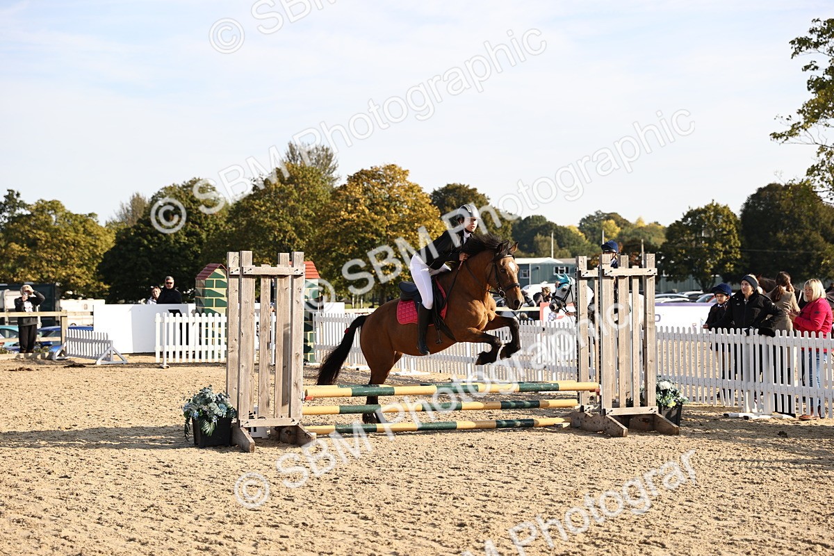 SBM_59602 - J11 - Junior Pony 50cm Championship