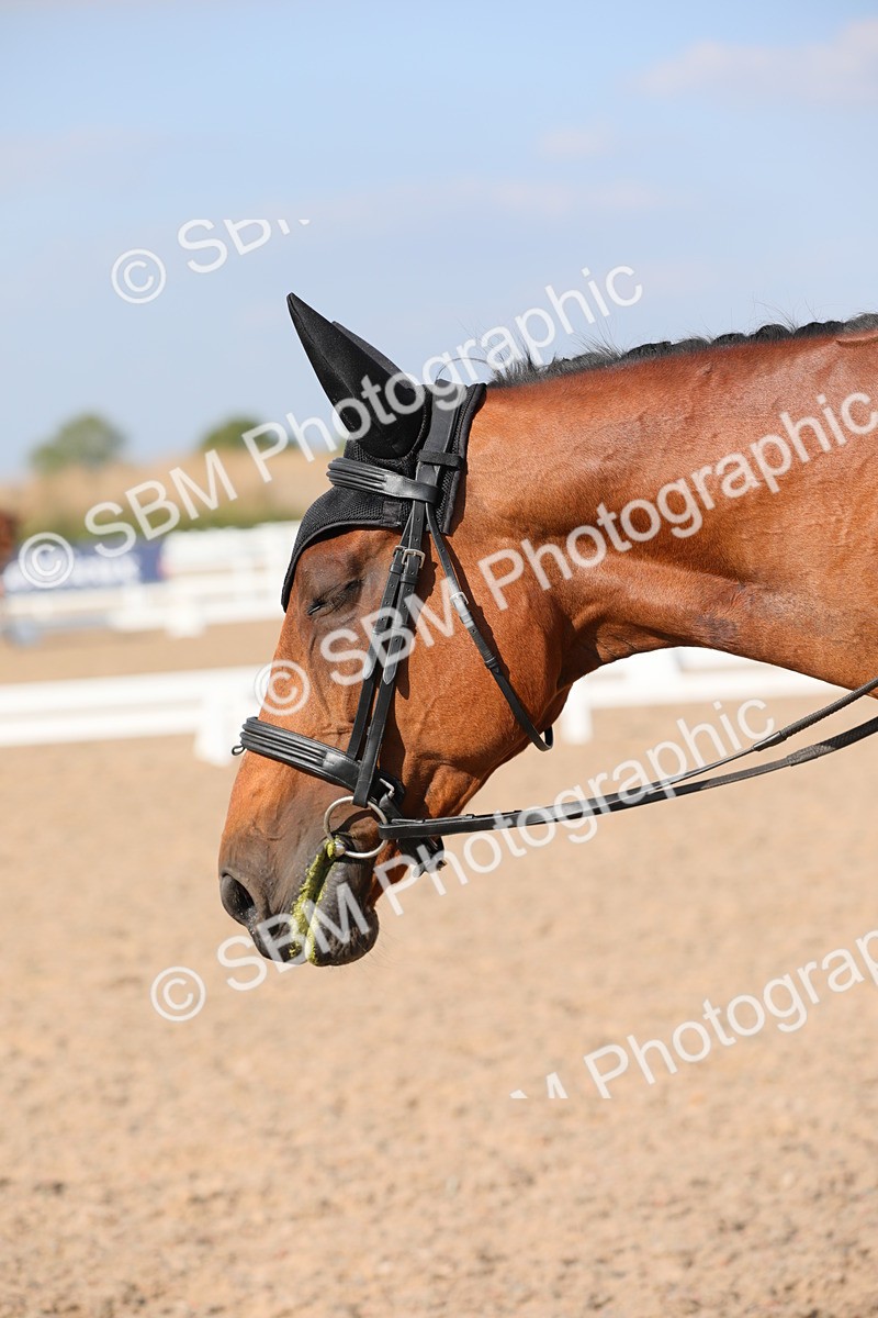 SBM_07841 - Class 33 Elementary 1