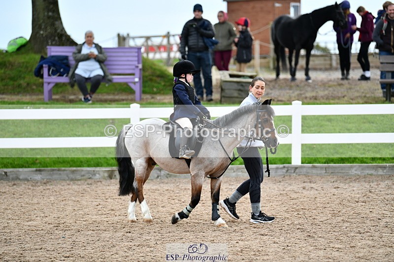 241013B-101232-00314 - Cls 2c 40cm Lead Rein