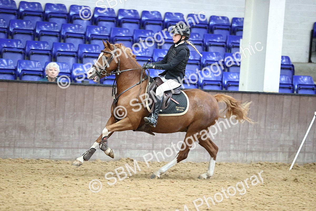 SBM_001181 - Class 3 - Springboard 128cm 138cm Restricted handicap 85cm 95cm