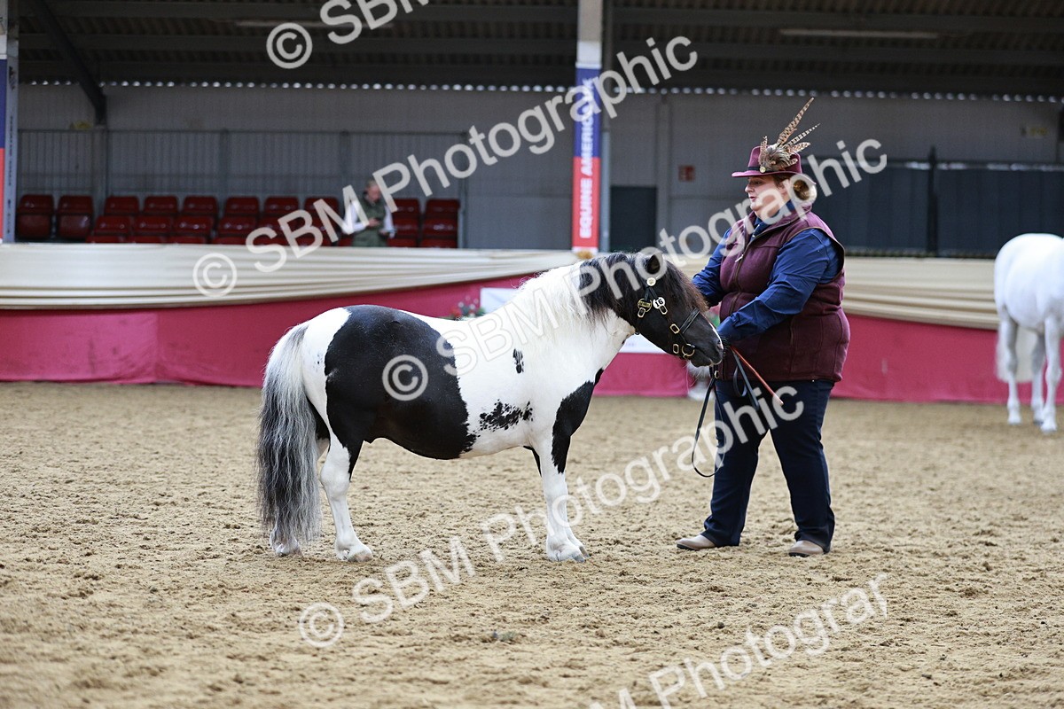 SBM_01269 - Class 3A - Area IH Pre-Vet