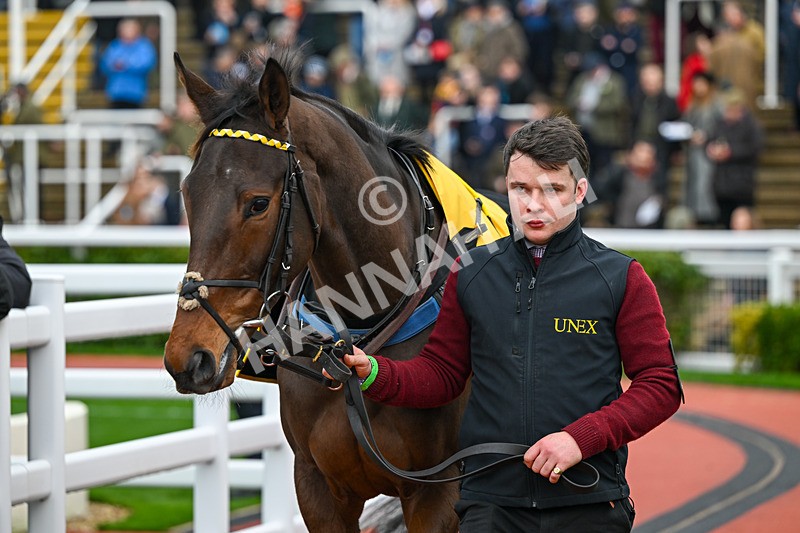 151125-Race 1-Kate ORiley-1932 - Race 1