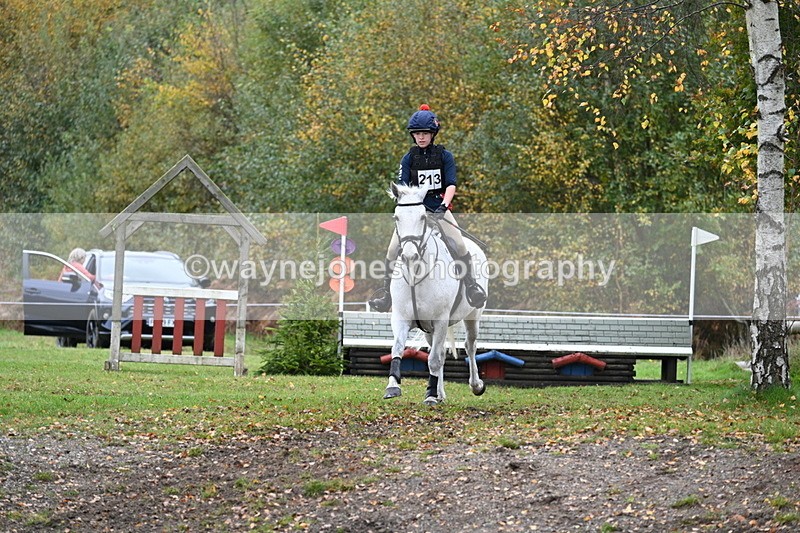 WJ7_2896 - 90cm Cam 2 Water Time 13:29 to 13:47